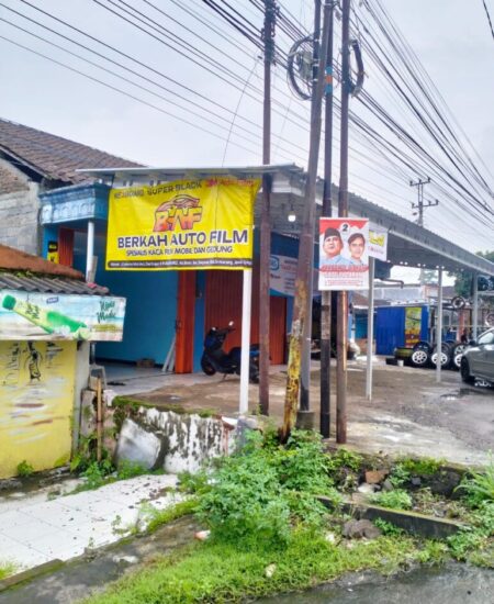 Galeri foto (9)